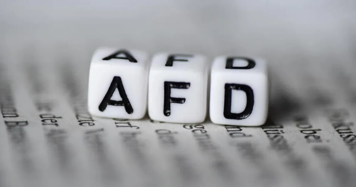 Oroszország ajánlatot nyújtott át az AfD-nek