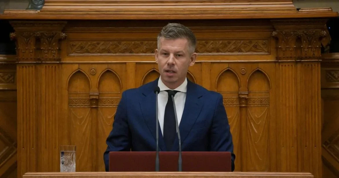 Két szó: ennyit üzent Magyar Péter a költségvetésről